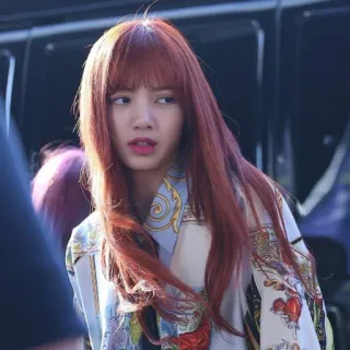 🌕 Lisa mujer, persona, pelo rojo, asiática, cantante, kpop, celebridad telegram sticker