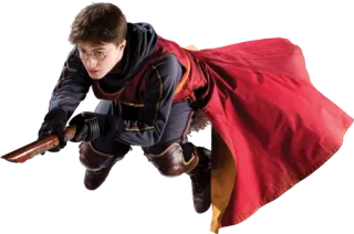 🏵 Harry Potter harry potter, quidditch, wizard, magic, daniel Radcliffe, flying telegram sticker