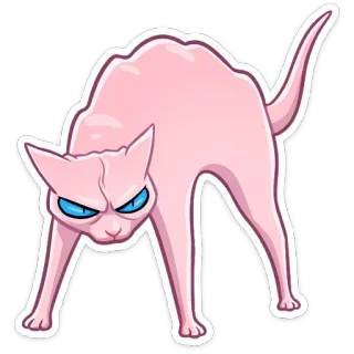 😡 Katze, wütend, Buckel, rosa, blaue Augen, Aufkleber, Cartoon telegram sticker