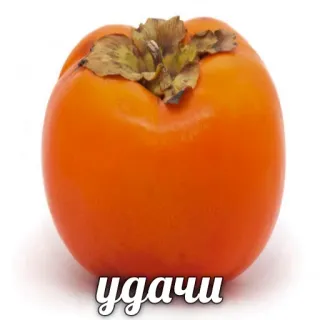 👌 Удачи 감, 과일, 러시아, 행운, 주황색, 음식 telegram sticker