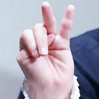 ☺ peace sign, hand gesture, victory, fingers, symbol telegram sticker