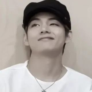 🥡 V kpop, bts, idole, taehyung, chanteur, célébrité telegram sticker