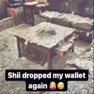 🤦‍♀ Shii dropped my wallet again telegram sticker