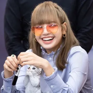 🐬 Lisa chanteur, k-pop, idole, célébrité, lunettes de soleil coeur, statue chat telegram sticker