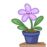 😵 цветок, растение, фиалка, горшок, милый whatsapp sticker