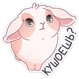 ❓ КУШАЕШЬ? coelho, fofo, pergunta, kawaii, animal, coelho whatsapp sticker
