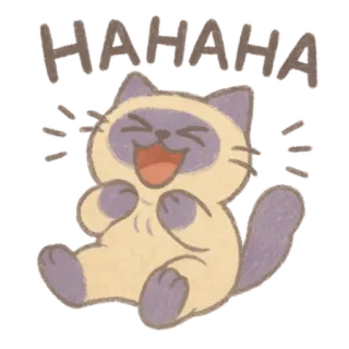 🐈‍⬛ HAHAHA chat, rire, emoji, joyeux, animal whatsapp sticker