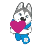 💕 husky, chó, động vật, trái tim, yêu, khăn quàng cổ, dễ thương telegram sticker