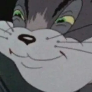 🧡 Tom Cat Tom and Jerry mèo, hoạt hình, meme, hài hước, phim hoạt hình, tom và jerry telegram sticker