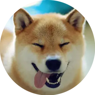 @psybeast Vol.11 telegram stickers