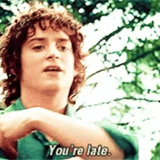 ⌛️ Frodo Baggins The Lord of the Rings You're late. hobbit, film, fantasy, elijah wood, frodo telegram sticker