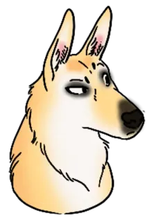 ❓ anjing, hewan, kartun, potret telegram sticker