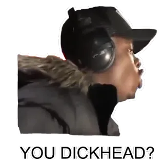 🖕 YOU DICKHEAD? оскорбление, гнев, обидный, выражение, головной убор telegram sticker
