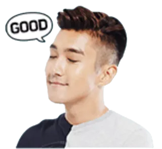 Super Junior telegram stickers