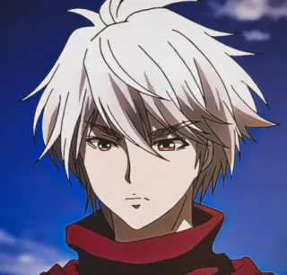 🎴 anime, manga, white hair, male, red, sky telegram sticker