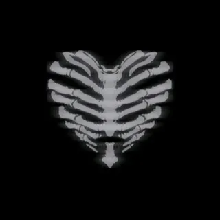 ❤️ heart, skeleton, rib cage, anatomy, gothic, medical telegram sticker