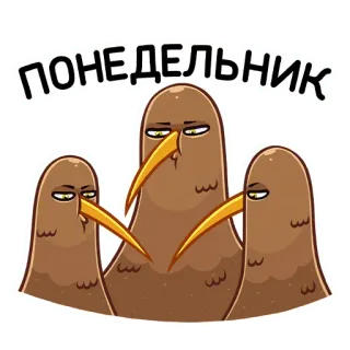 ☹️ ПОНЕДЕЛЬНИК киви (птица), понедельник, смешной, птицы, мультфильм, животное, иллюстрация telegram sticker