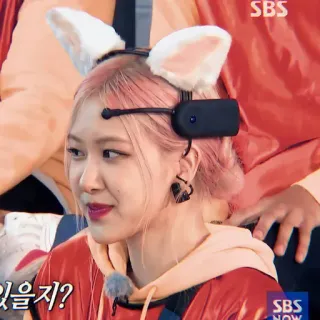 🍐 있을지? mujer, pelo rosa, orejas de gato, entretenimiento, celebridad, k-pop telegram sticker