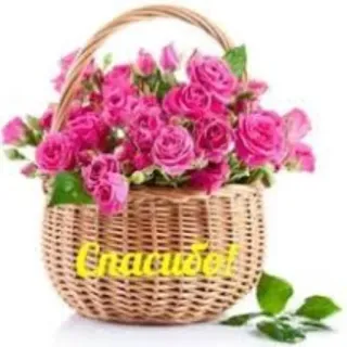 😔 Спасибо! Blumen, Rosen, Korb, Danke, Gruß, Blumenmuster, Rosa whatsapp sticker