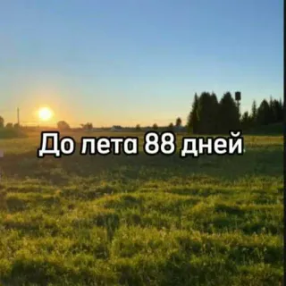 ☀️ До лета 88 дней verano, naturaleza, días, cuenta atrás, campo, puesta de sol telegram sticker