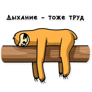 🥵 Дыхание - тоже труд paresseux, mignon, drôle, paresseux, russe, animal, mème whatsapp sticker