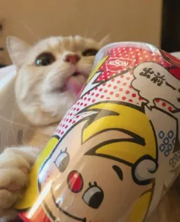 😻 出前一丁 macarrão instantâneo, mascote, Nissin, comida, gato, ramen, desenho animado telegram sticker