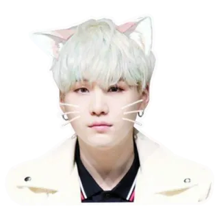 😼 orecchie da gatto, gatto, orecchie, faccia, kawaii telegram sticker