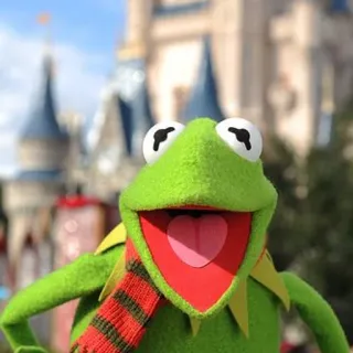 ⚽️ Kermit the Frog kermit, frog, muppets, disney, scarf telegram sticker