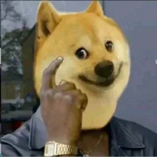 😂 Doge doge, meme, chó, ngón giữa, cử chỉ xúc phạm, hài hước telegram sticker