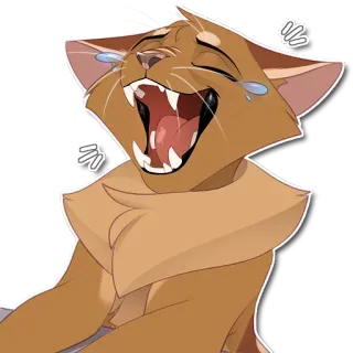 🤣 gato, risa, llorar, meme, divertido, animal, pegatina telegram sticker