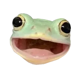 😀 kikker, dier, meme, sticker telegram sticker