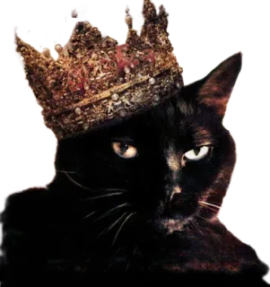 👑 Katze, Krone, König, Haustier, Tier, schwarze Katze, Königtum, niedlich telegram sticker