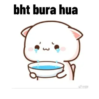 😭 bht bura hua かわいい, 泣く, 悲しい, 動物, 猫, ボウル, 涙 whatsapp sticker