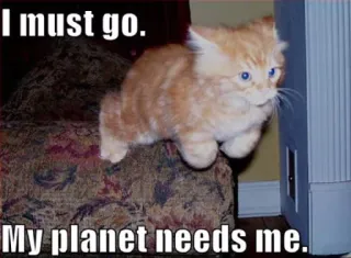 ✈ I must go.
My planet needs me. 猫, ミーム, 面白い, 動物, ペット, ユーモア telegram sticker