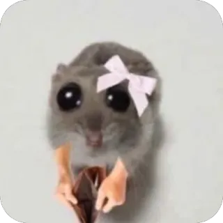 🫥 mouse, animal, bow, cute, eyes, pet, rodent telegram sticker