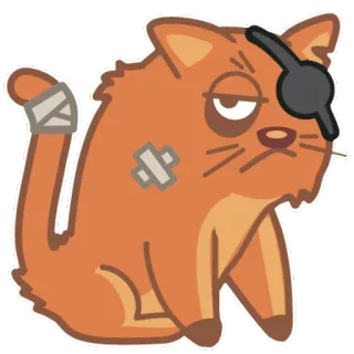 😕 gato, pegatina, pirata, parche, herido, dibujo animado, animal telegram sticker