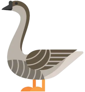😛 гусь, птица, животное, птица (домашняя), водоплавающая птица telegram sticker