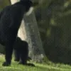 🤗