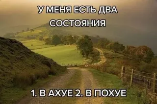 🤧 У МЕНЯ ЕСТЬ ДВА СОСТОЯНИЯ 1. В АХУЕ 2. В ПОХУЕ Landschaft, Straße, Natur, Spruch, Zwei Bundesländer, Humor, Russisch telegram sticker