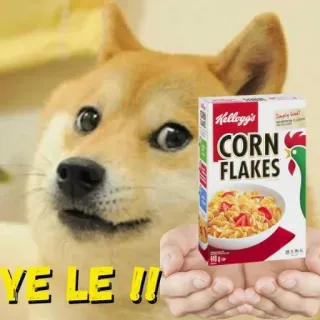 🥣 YE LE !!! doge, perro, cereal, corn flakes, comida, meme telegram sticker