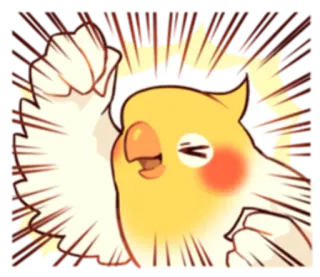 ✊ นกค็อกคาเทล, นก, สัตว์, น่ารัก, การ์ตูน, สติกเกอร์, มีความสุข telegram sticker