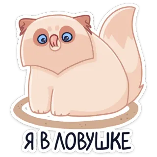 😅 Я В ЛОВУШКЕ gato, russo, adesivo, preso telegram sticker
