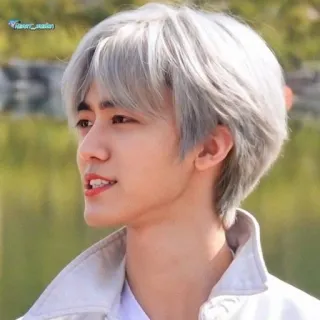🧺 resort_madan Person, Mann, graue Haare, Porträt, K-Pop, Idol whatsapp sticker