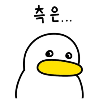 💬 측은... 鸭子, 卡通, 韩语, 动物 telegram sticker