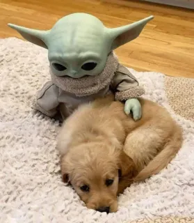 🦎 Baby Yoda bebé yoda, el niño, grogu, cachorro, perro, lindo telegram sticker