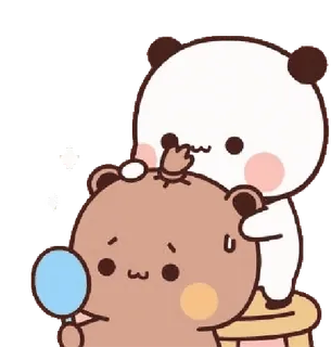 😂 urso, panda, dedo do meio, fofo, animal whatsapp sticker
