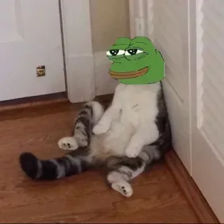 📎 Pepe the Frog Meme, Pepe, Rana, Gato whatsapp sticker