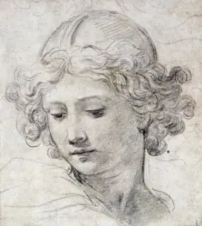 😇 drawing, sketch, art, portrait, face, classical, head, curly hair telegram sticker