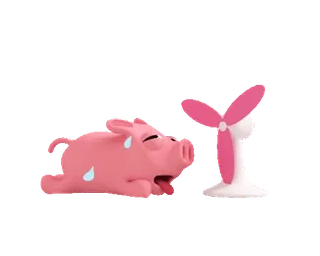 🥵 หมู, เหงื่อออก, เหนื่อย, พัดลม, ฤดูร้อน, ความร้อน, การ์ตูน telegram sticker