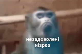 ☹️ незадоволені нізроз telegram sticker